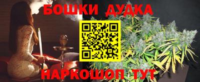 мдпв Гусев